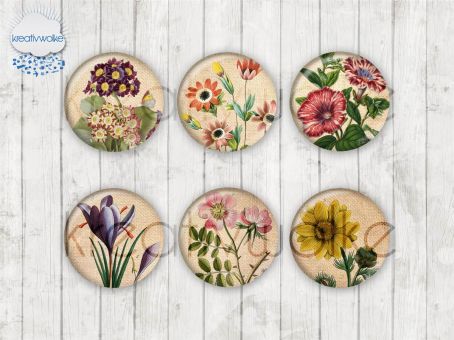 Motiv-Cabochons 1799 12mm (12 Stk)